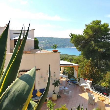 Bed and Breakfast Il Sogno Di Vincenzo E Maria Palinuro Exterior foto
