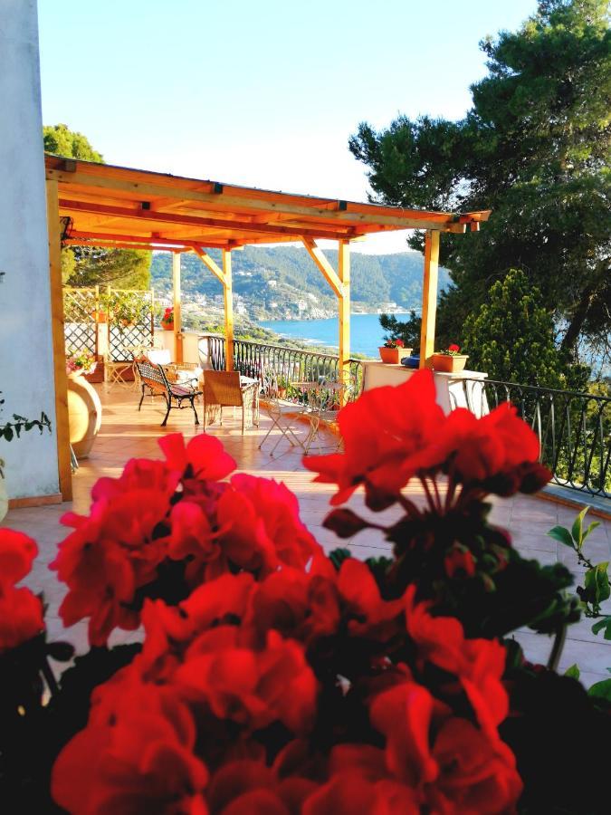 Bed and Breakfast Il Sogno Di Vincenzo E Maria Palinuro Exterior foto